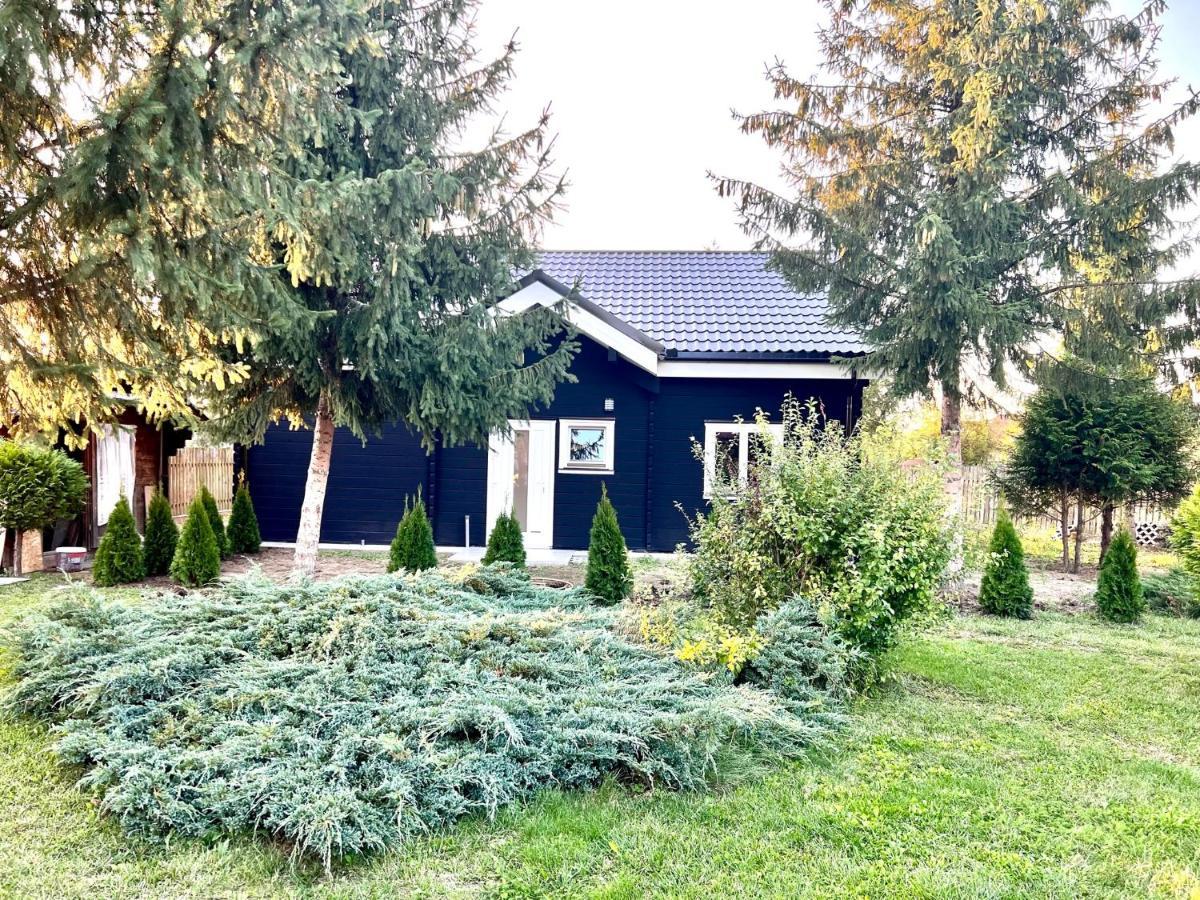 Vila Scandinavia Sîngeorgiu de Mureş Zewnętrze zdjęcie
